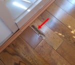 termite damage to timber floors 01